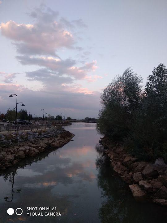 Yorum fotoğrafı 4