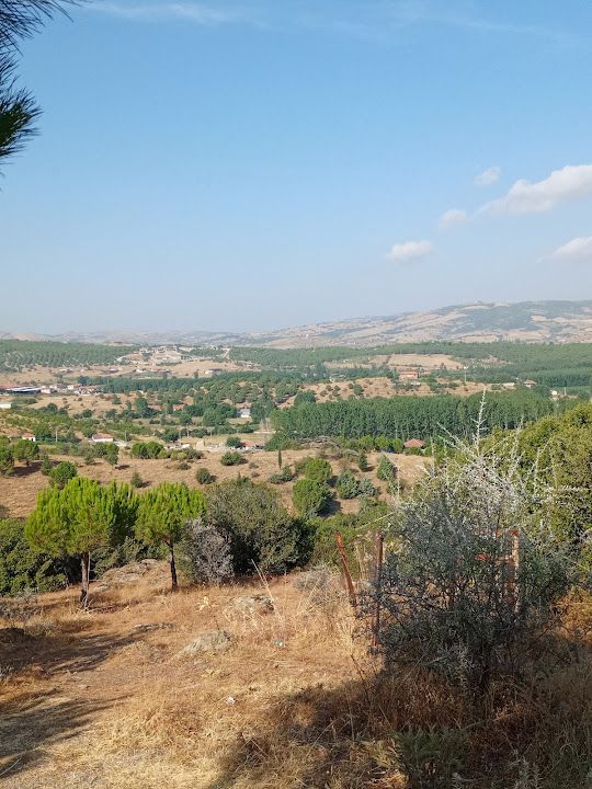 Yorum fotoğrafı 3