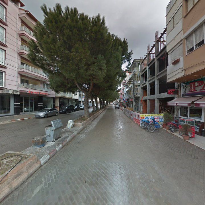 Fotoğraf 11