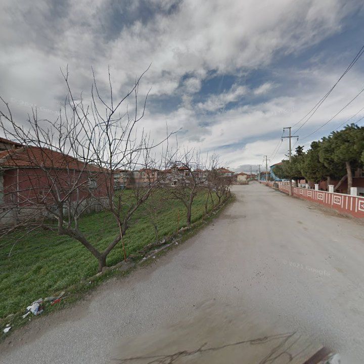 Fotoğraf 2