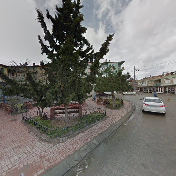 Fotoğraf 6