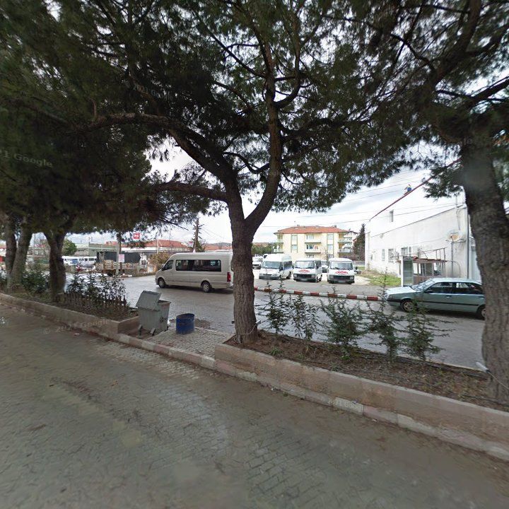 Fotoğraf 3