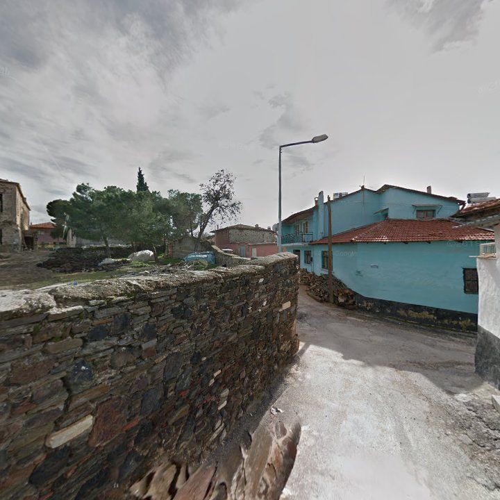 Fotoğraf 9