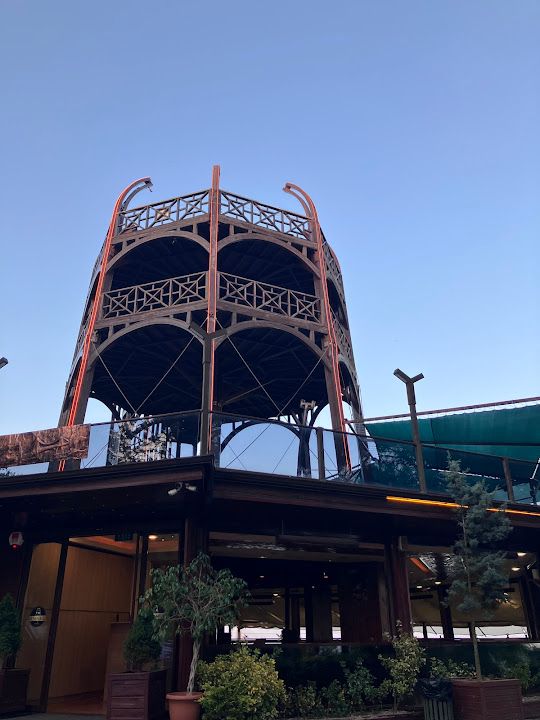 Fotoğraf 66