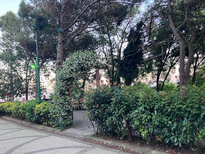 Fotoğraf 65