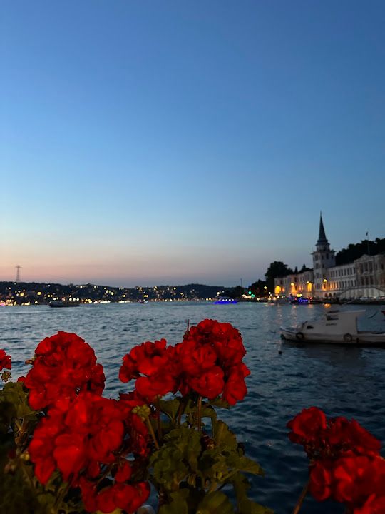 Fotoğraf 62