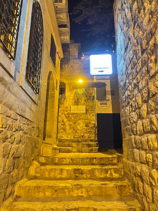 Yorum fotoğrafı 3