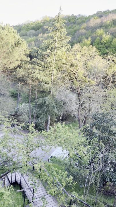 Fotoğraf 12