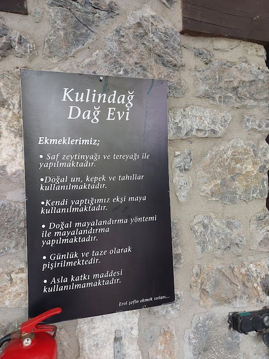 Fotoğraf 15