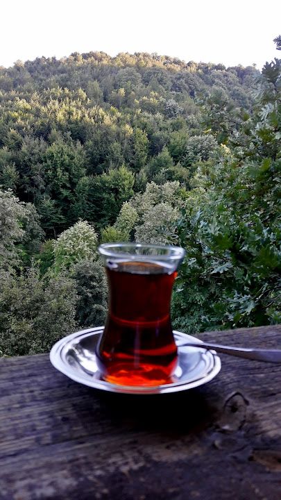 Fotoğraf 10