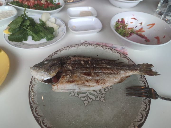 Fotoğraf 22
