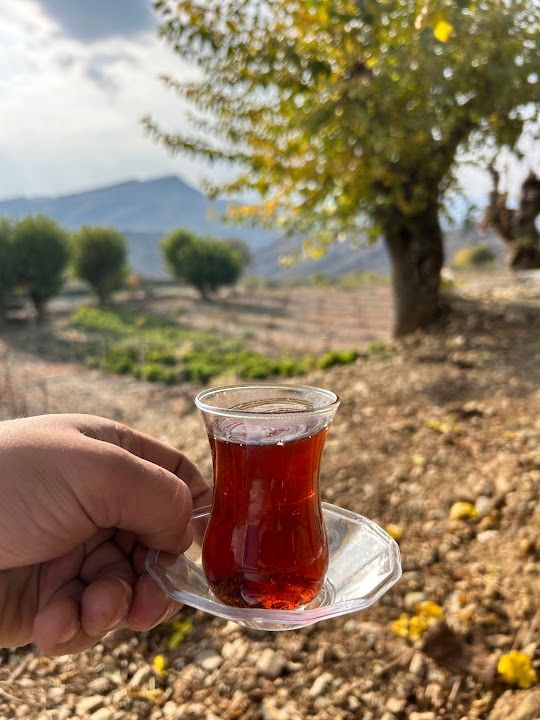 Fotoğraf 18