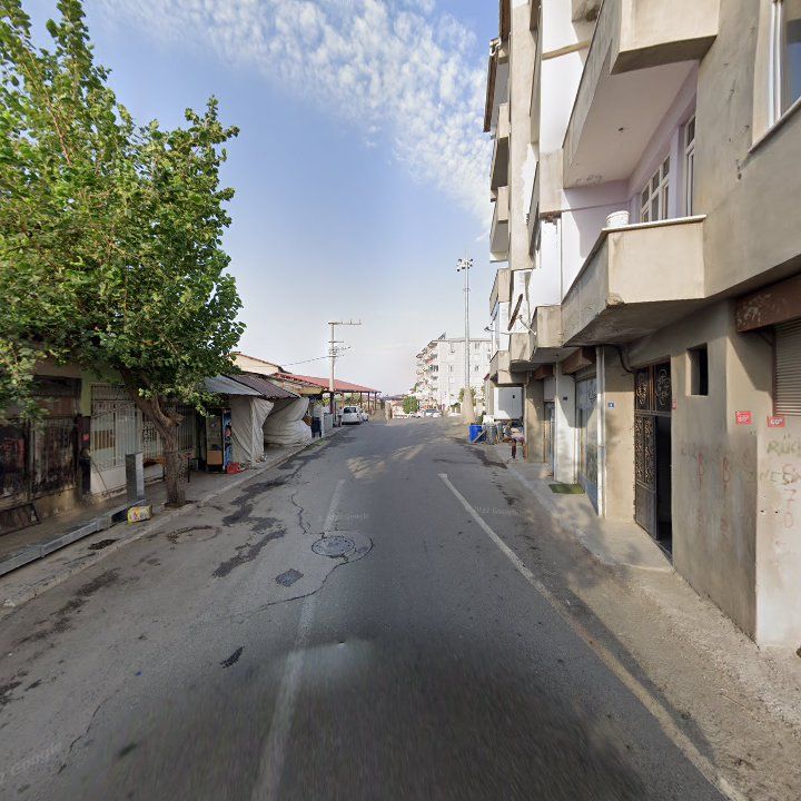 Fotoğraf 3