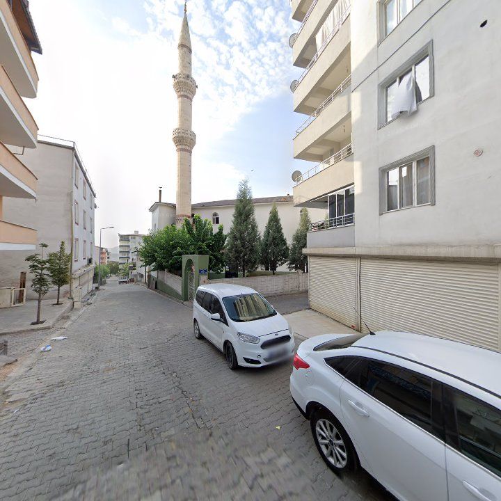 Fotoğraf 3