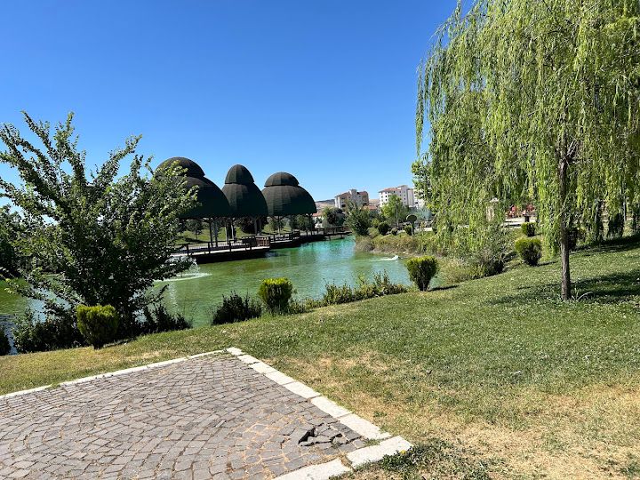 Fotoğraf 17