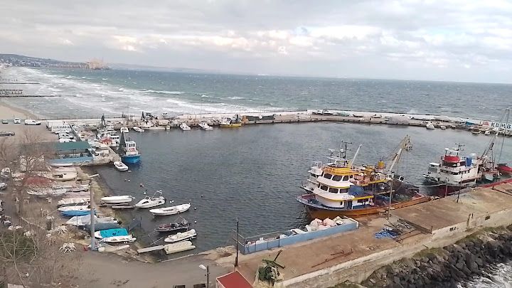 Fotoğraf 7