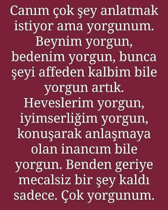 Fotoğraf 15