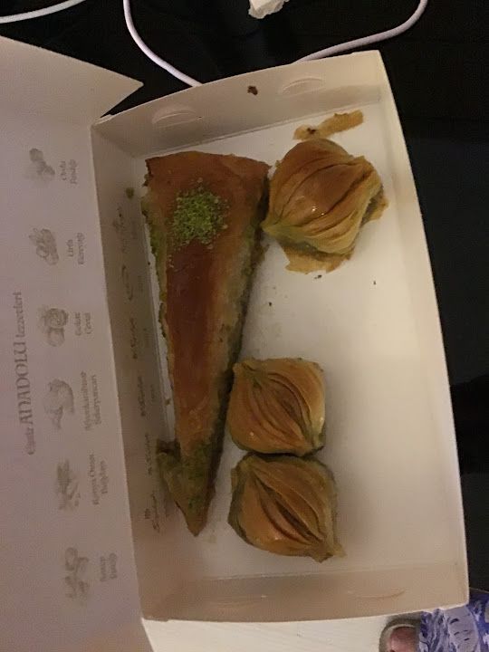 Fotoğraf 9