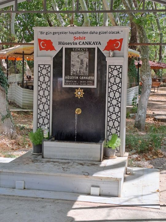 Yorum fotoğrafı 2