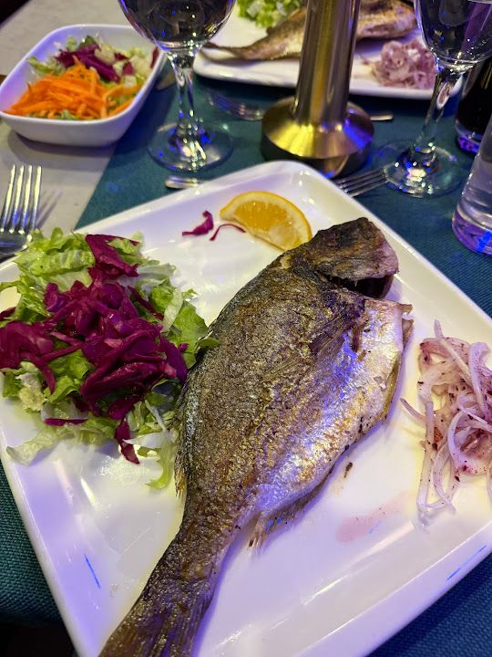 Fotoğraf 26