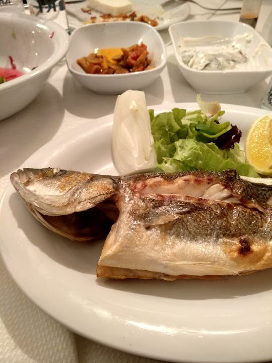 Fotoğraf 15