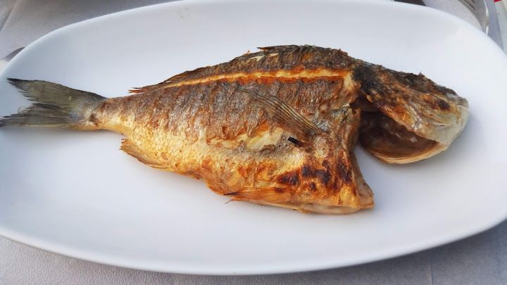 Fotoğraf 26
