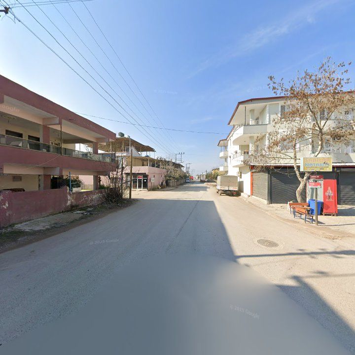 Fotoğraf 3