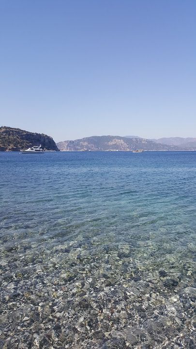 Fotoğraf 48