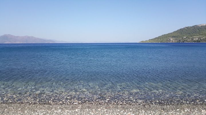 Fotoğraf 46