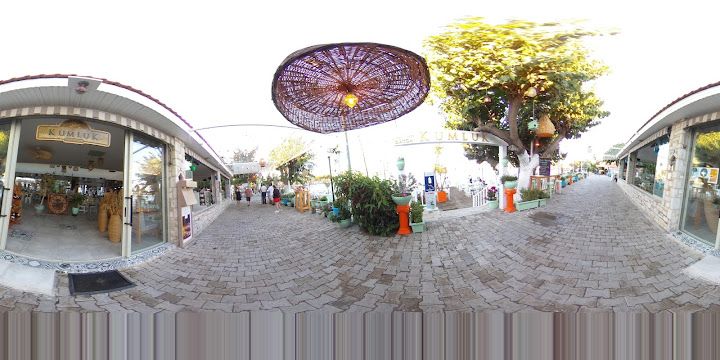 Fotoğraf 50