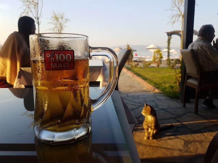 Fotoğraf 19