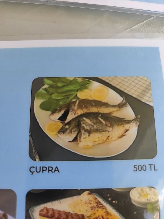 Fotoğraf 14