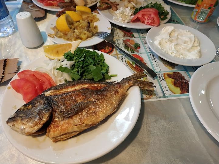 Fotoğraf 12