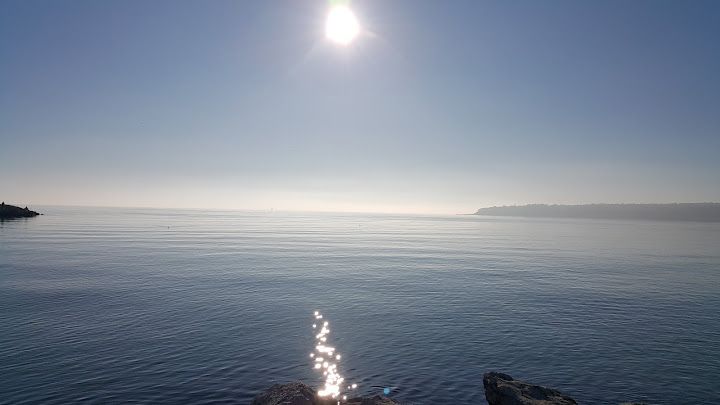 Fotoğraf 16