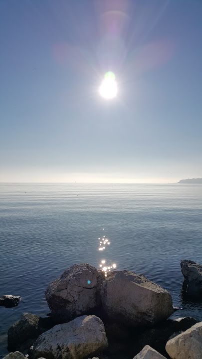 Fotoğraf 14