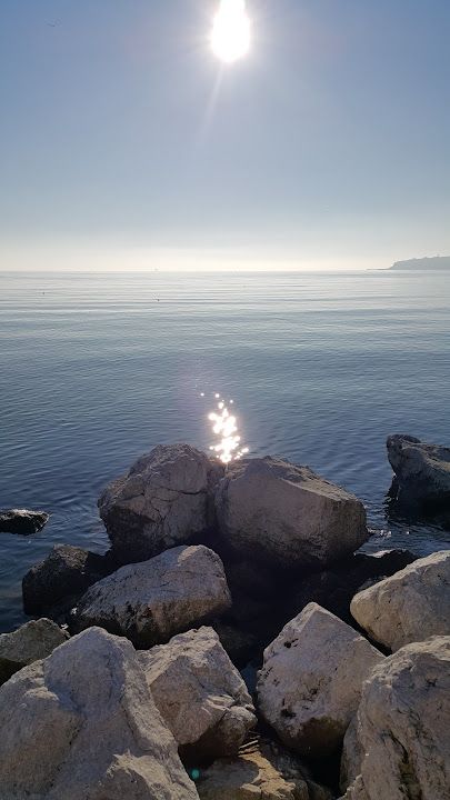 Fotoğraf 15