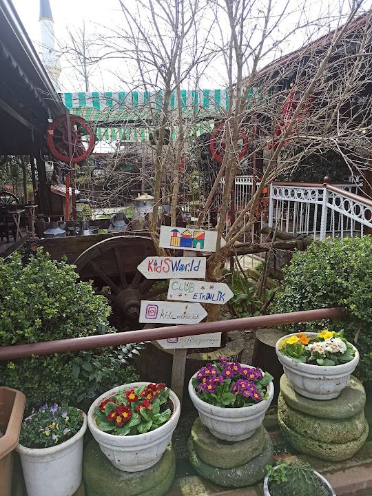 Yorum fotoğrafı 3
