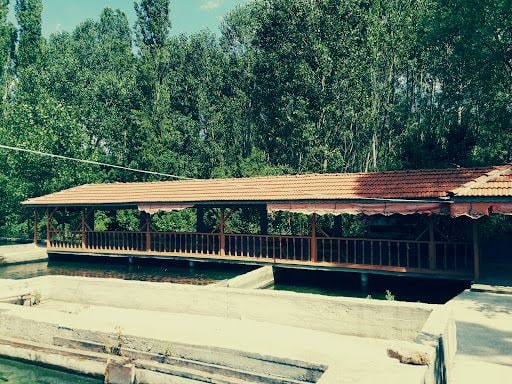 Yorum fotoğrafı 4