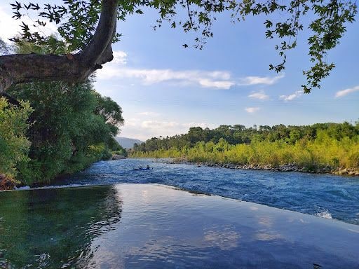 Fotoğraf 28