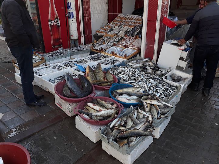 Beskardesler Balıkcılık