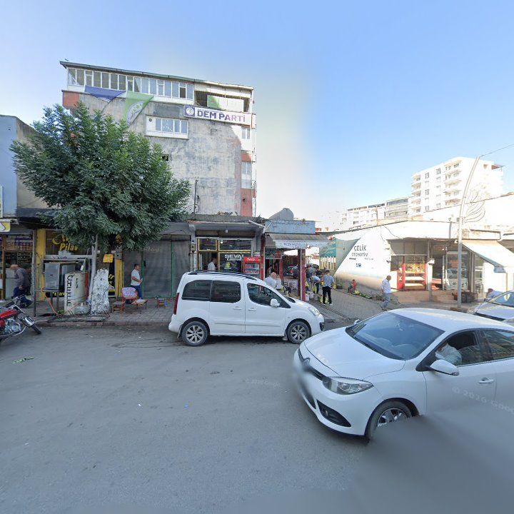 Fotoğraf 3