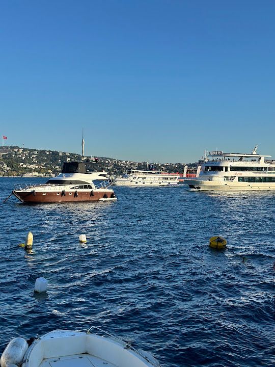 Fotoğraf 12