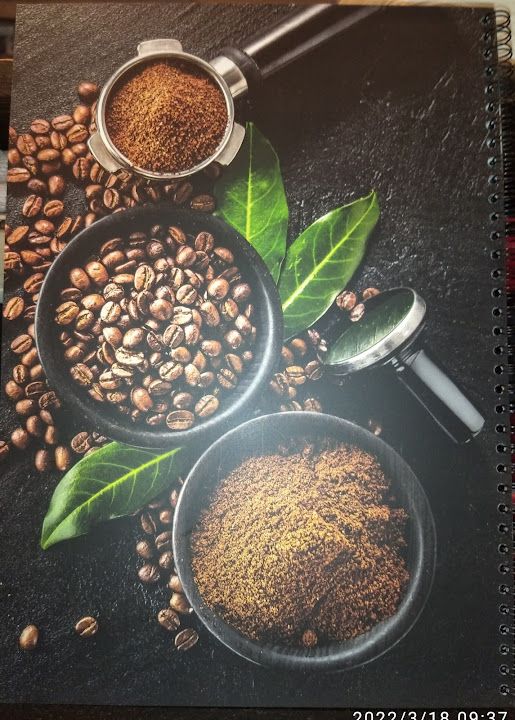 Fotoğraf 30