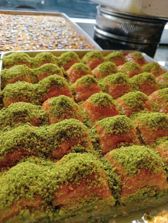 Fotoğraf 11