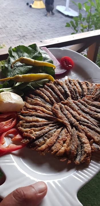 Fotoğraf 51
