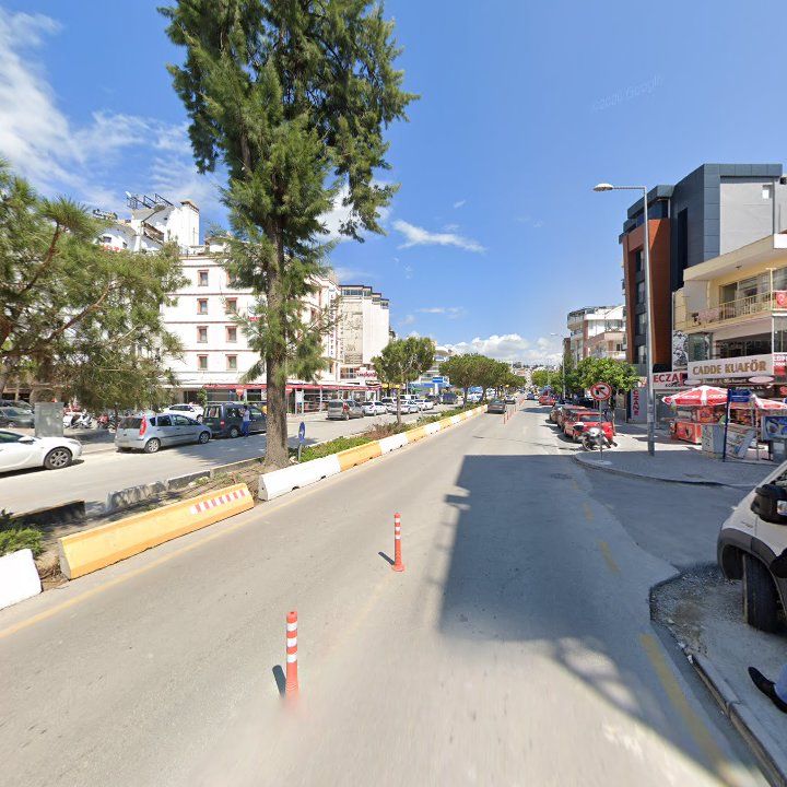 Fotoğraf 9