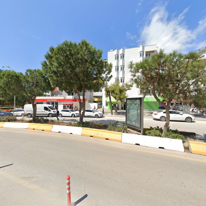 Fotoğraf 8