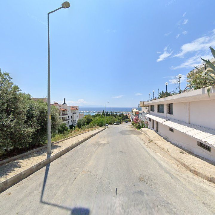 Fotoğraf 11