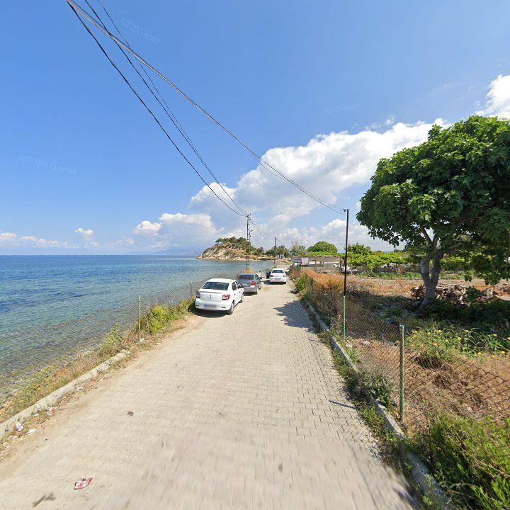 Fotoğraf 9