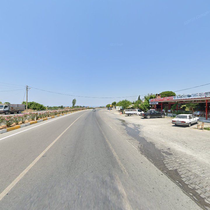 Fotoğraf 8